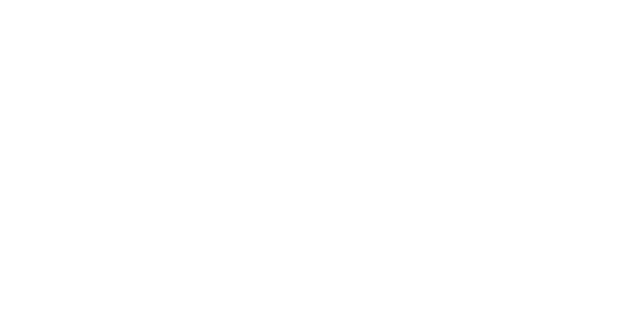 alumio pertner